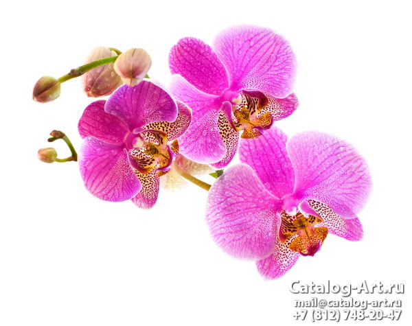 картинки для фотопечати на потолках, идеи, фото, образцы - Потолки с фотопечатью - Розовые орхидеи 92